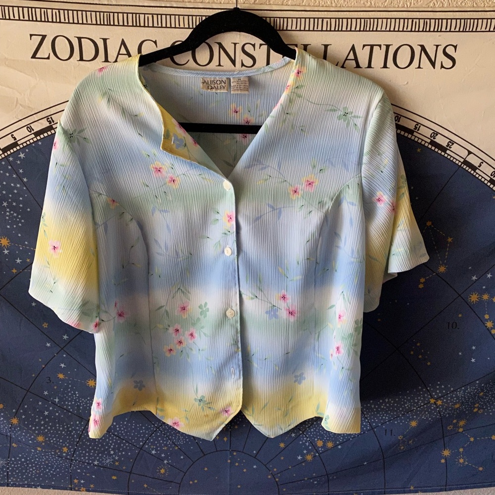 3/$30 💓 Vintage Pastel Allison Daley Top